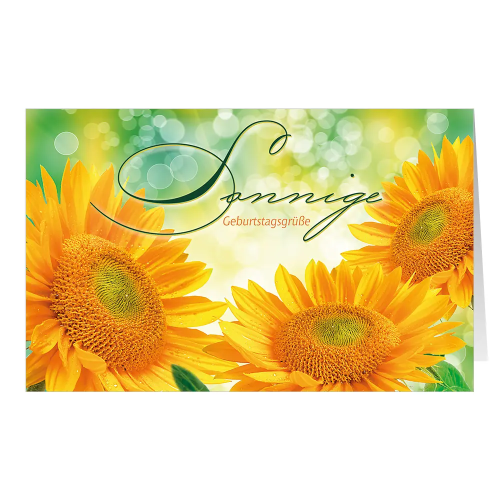 Sonnenblumen