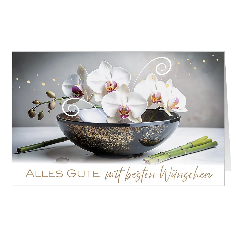 Orchideenzauber