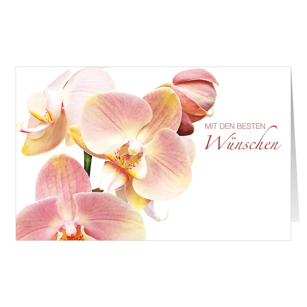 Orchidee