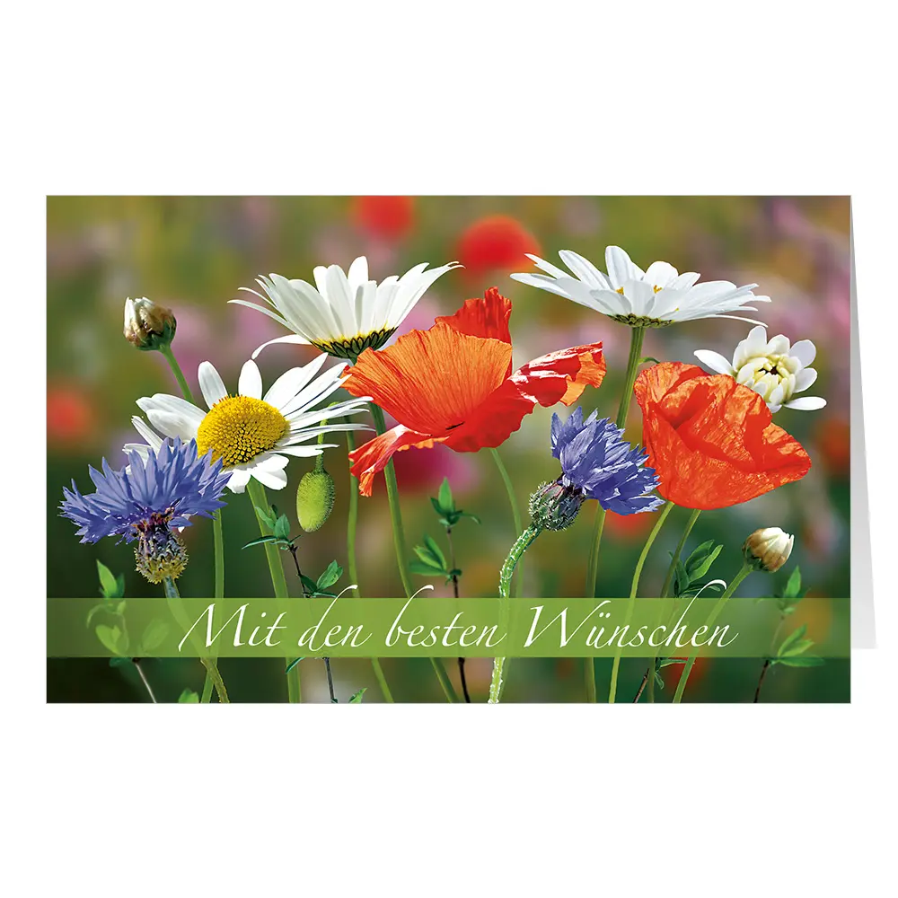 Sommerblumen